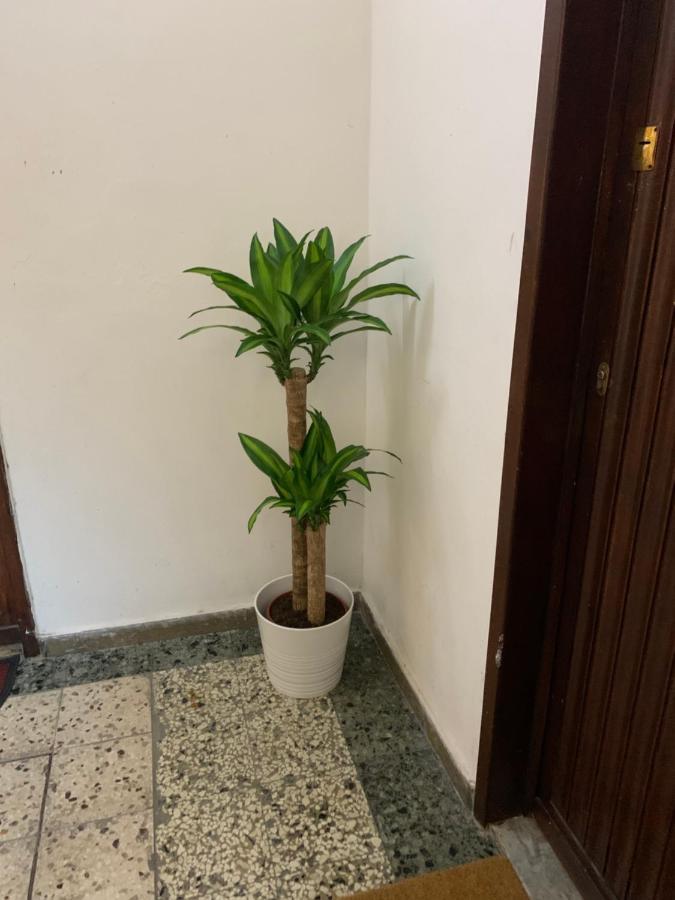 Pisa Train Station Guest House Dış mekan fotoğraf